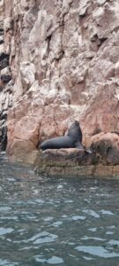 ballestas_2