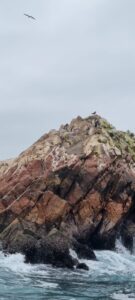 ballestas_4
