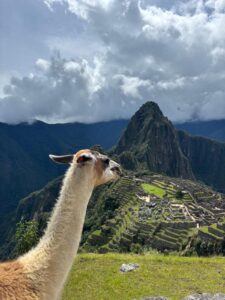 machu_7