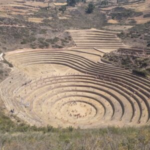 moray